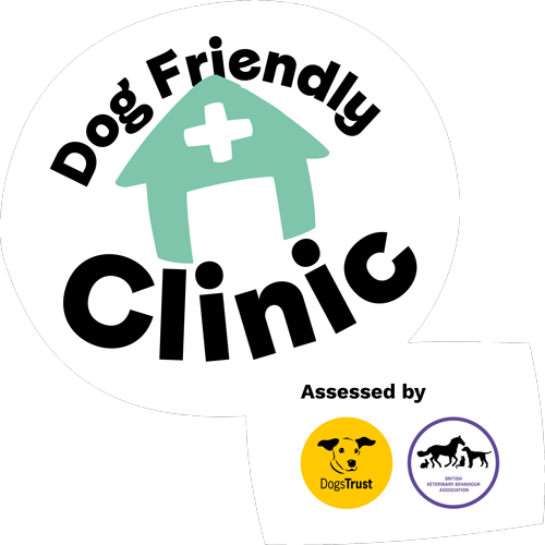 Dogs Trust dog friendly practice