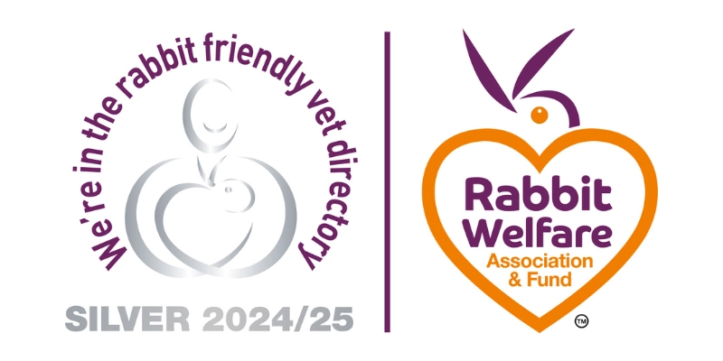 Rabbit Friendly silver 2024/2025