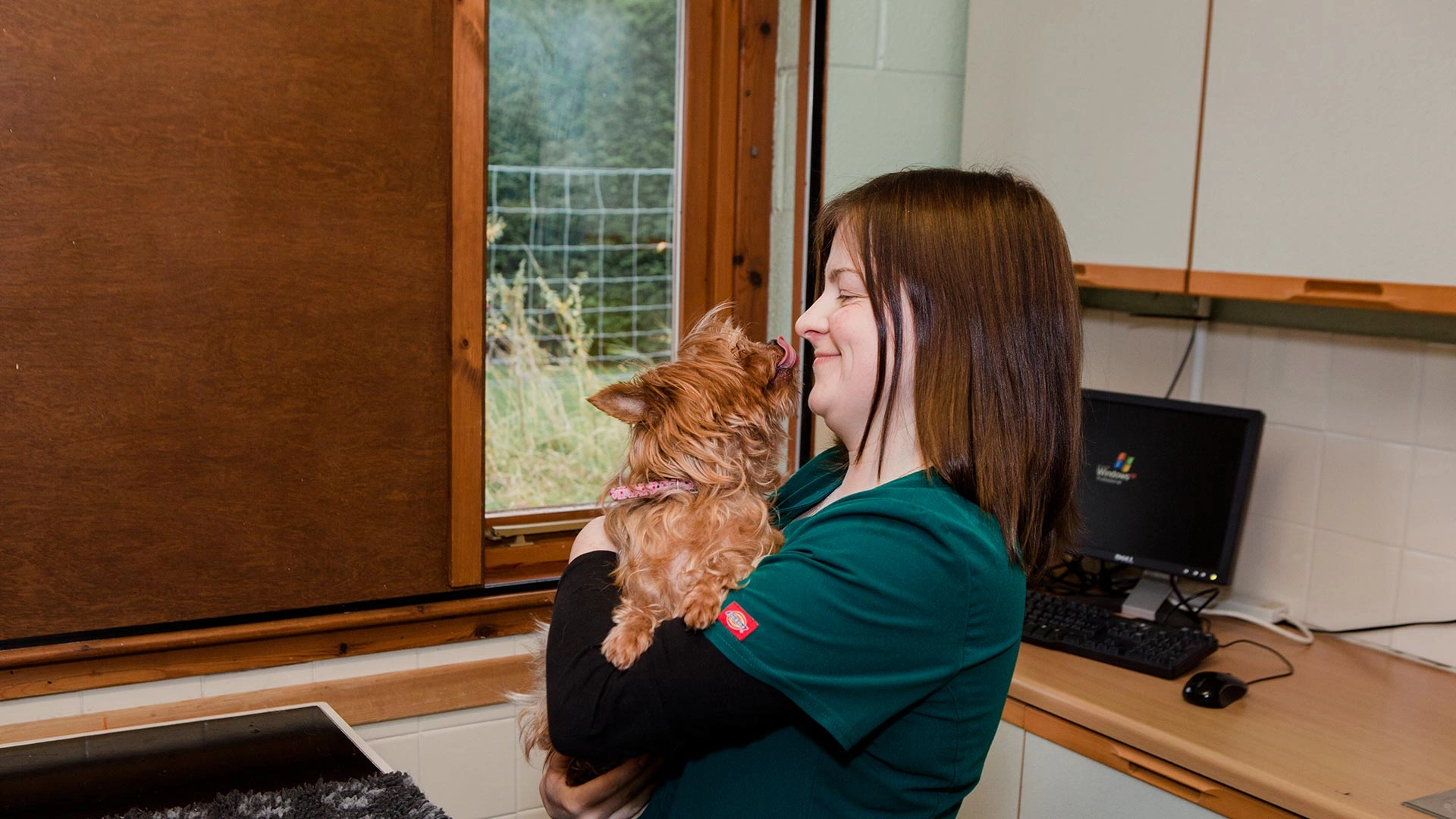 small beige dog being held by a member of the team