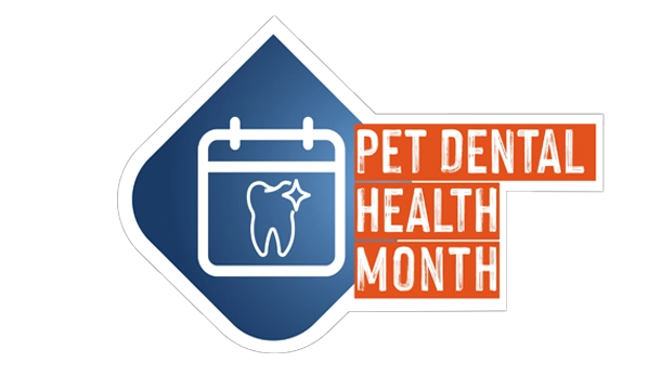 Pet-dental-health-month