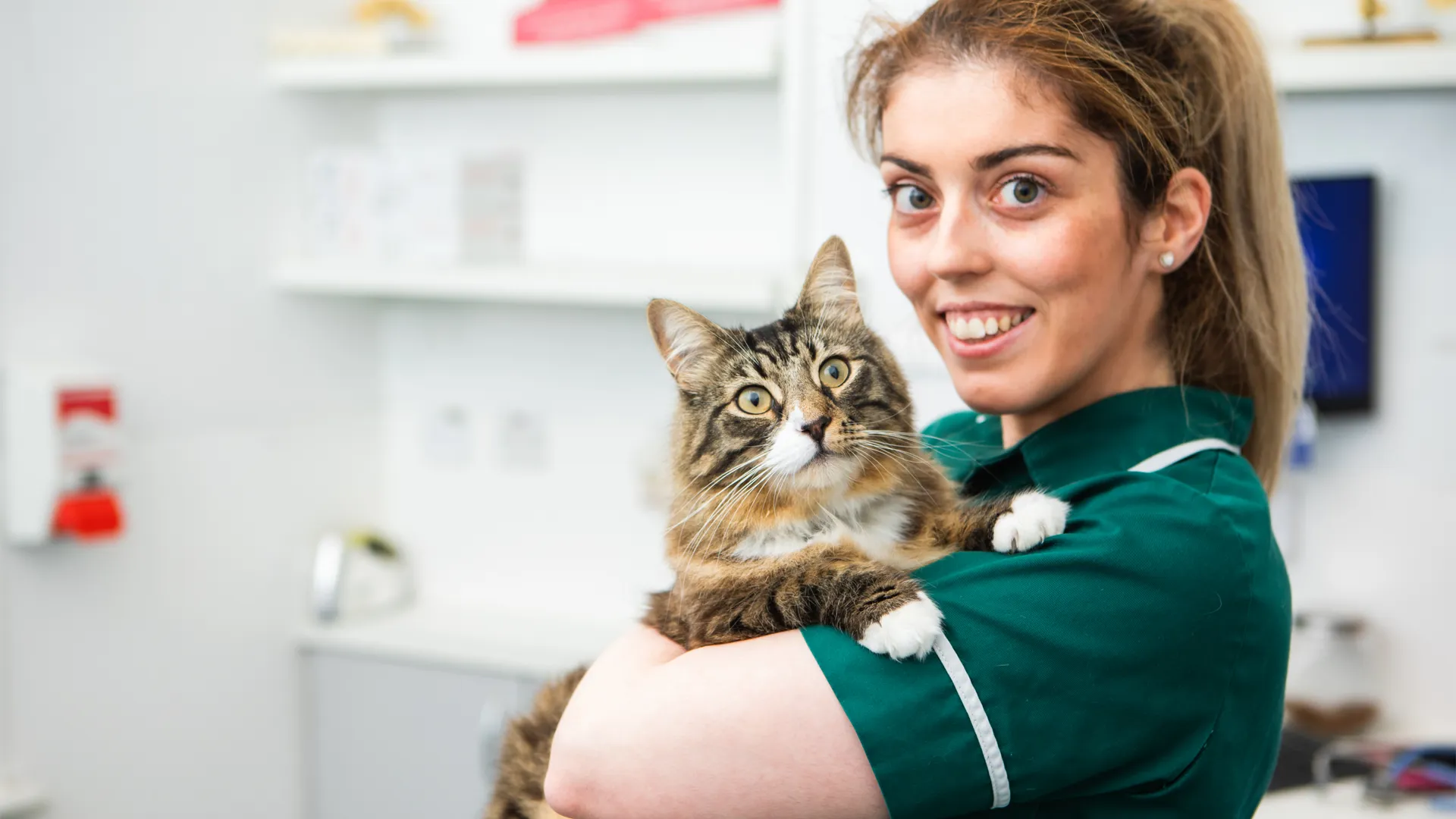 a member of our team holding a tabby cat