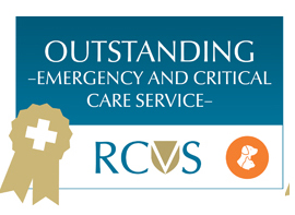RCVS Emergency And Critical Care Service