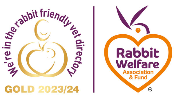 Gold Rabbit Welfare 2023-2024