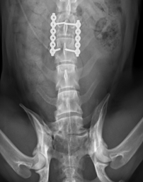 Internal surgery results