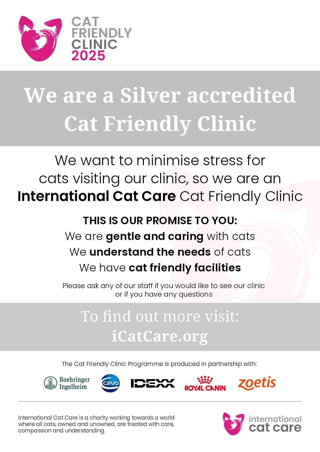 cat friendly clinic charter Silver 2025